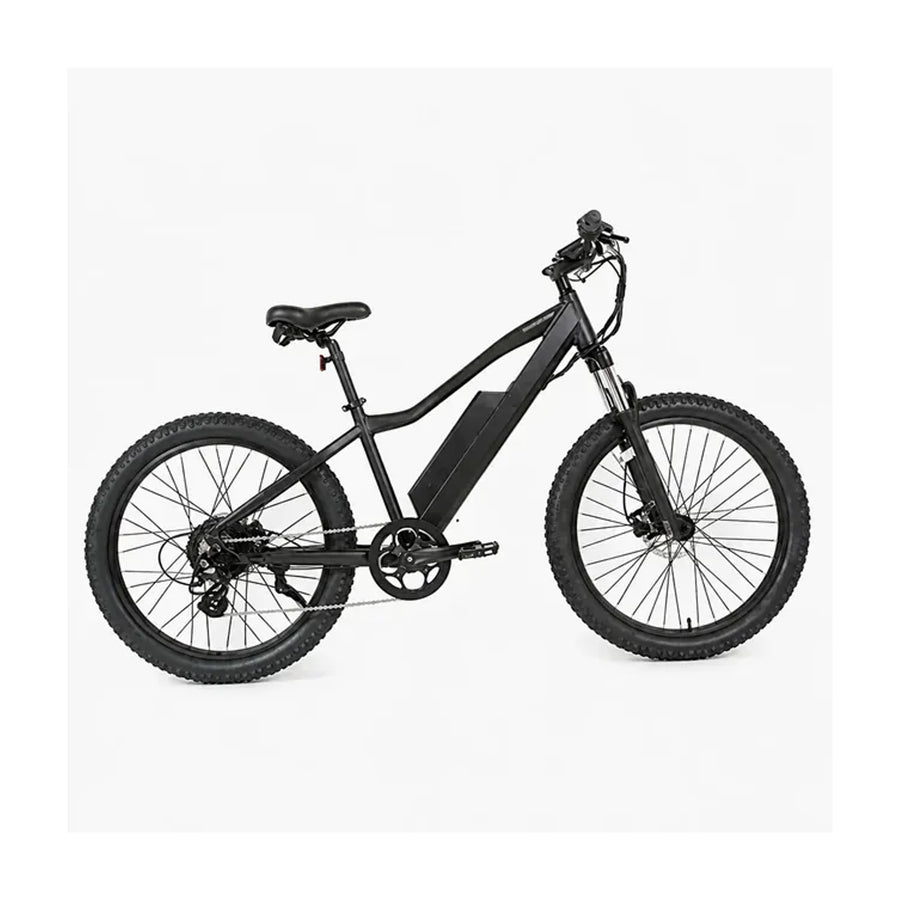 Electric Mountain Bike