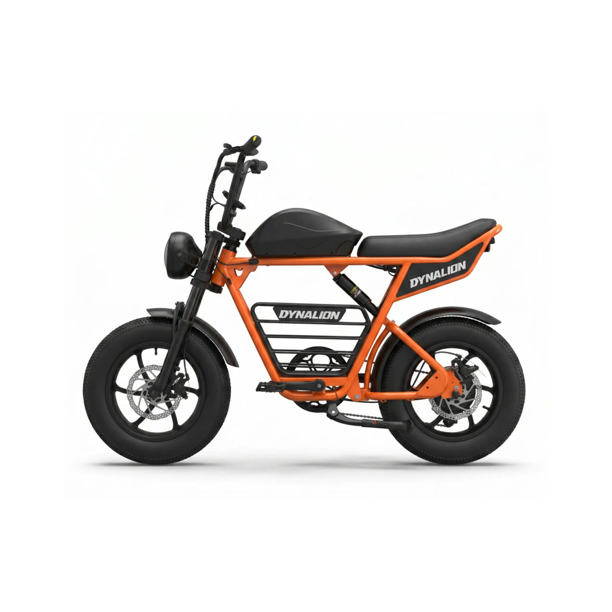 Fat Tire Electric Bike