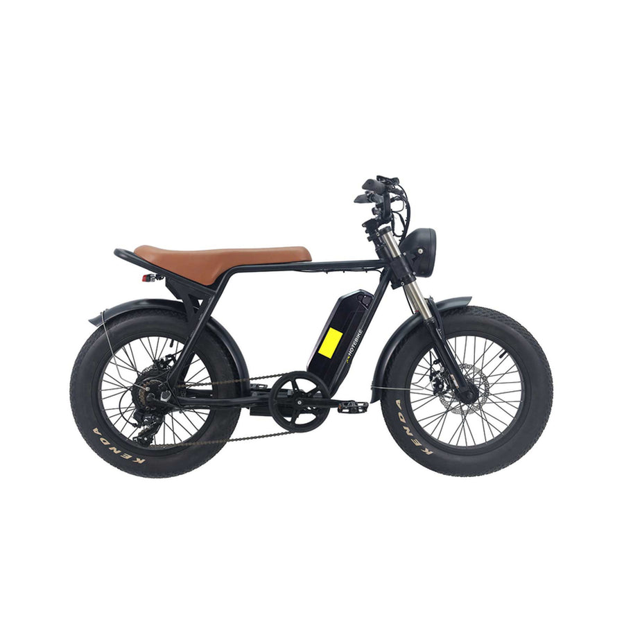 Fat Tire Electric Bike EBK-050