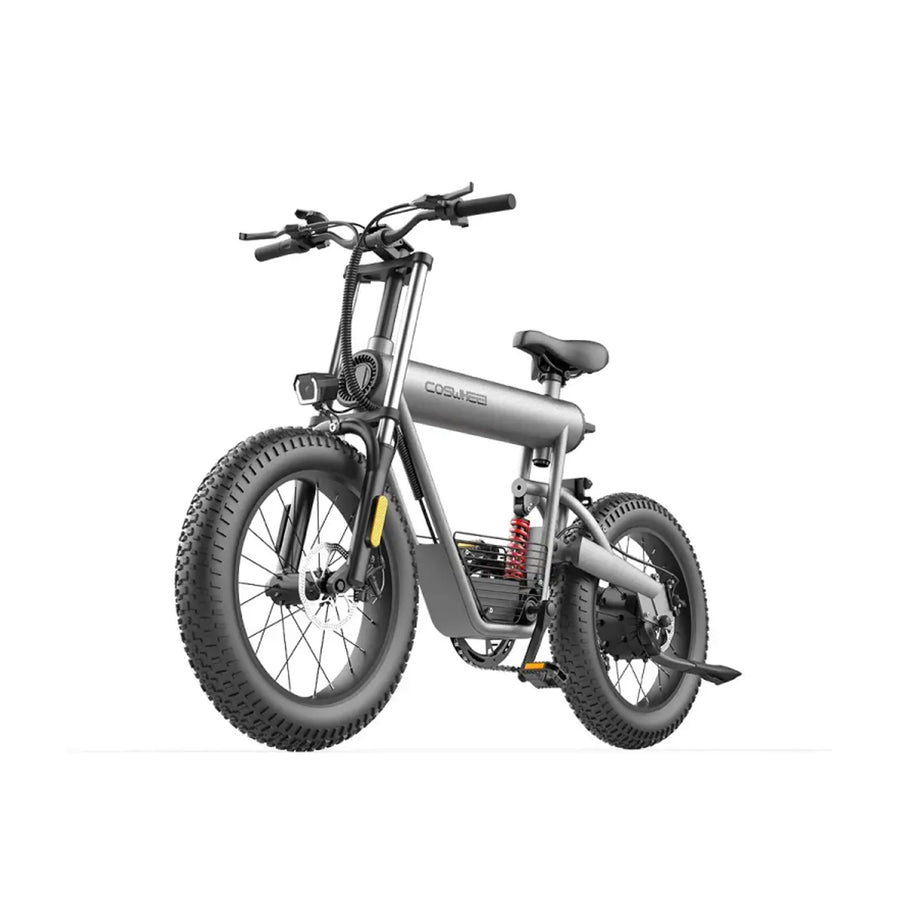 Coswheel 胖胎电动自行车