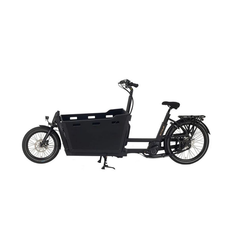 Basalt City Commuter Electric Bike