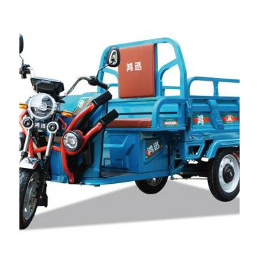Adult Electric Tricycle