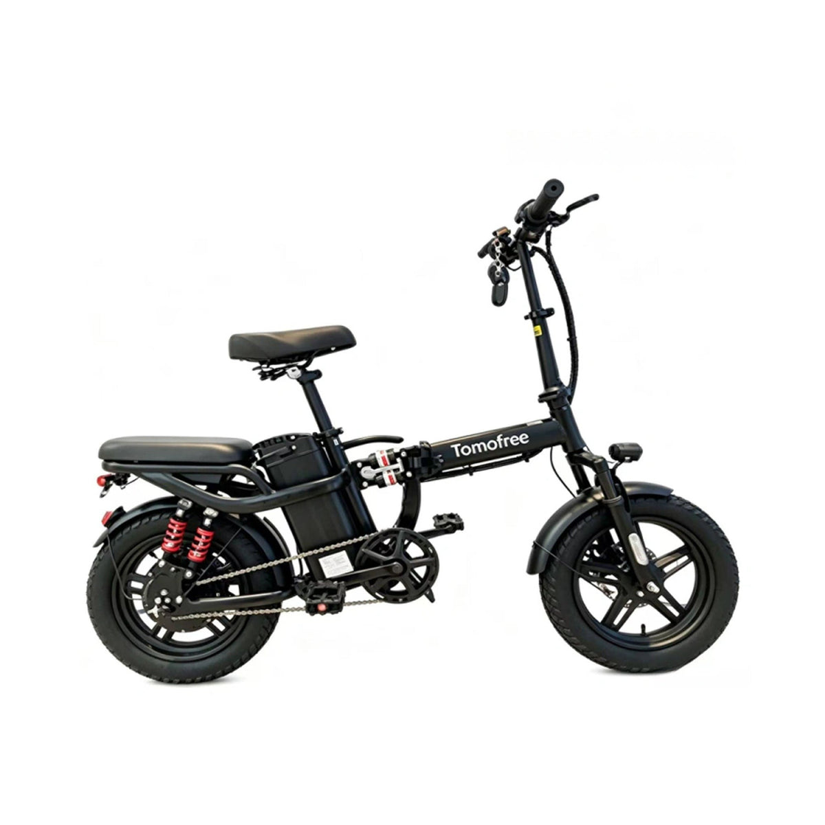 Folding Electric Bike