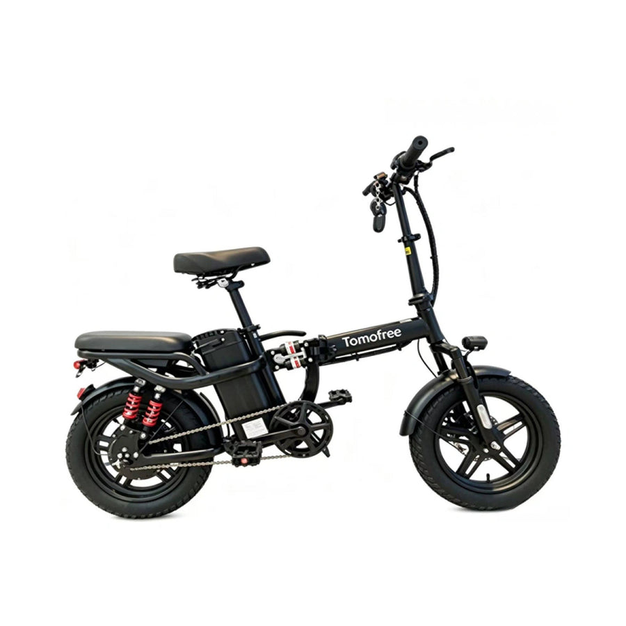 Folding Electric Bike